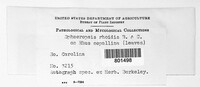Image Associated With the Occurence